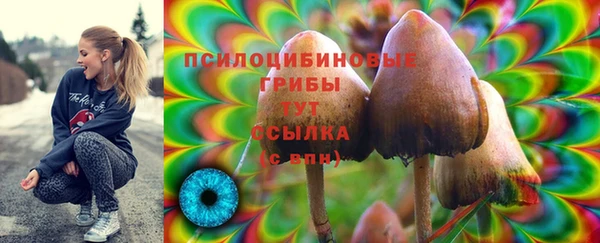 эйфоретик Абдулино